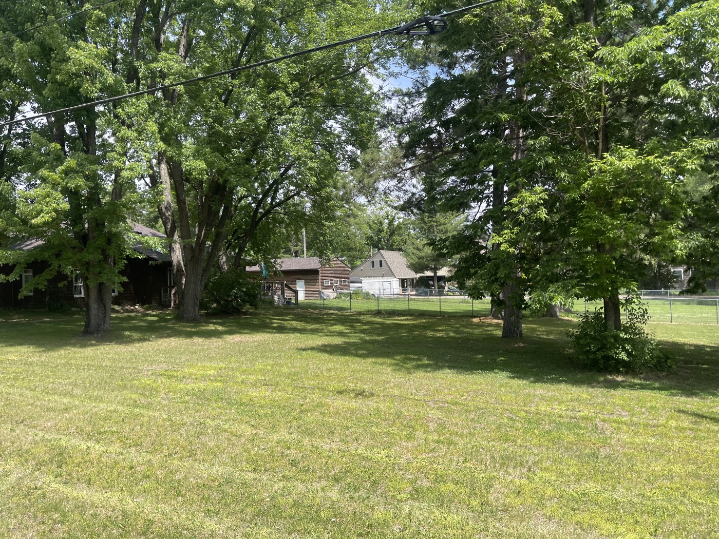 Shaded backyard freshly mowed