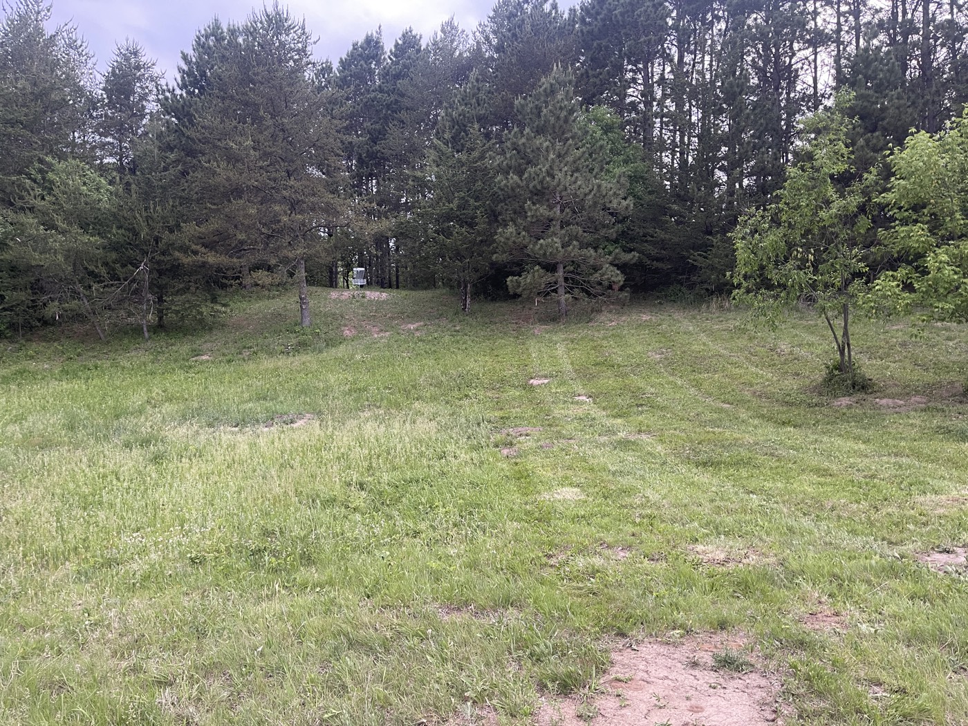 Mowed grass with a disc golf basket in the trees