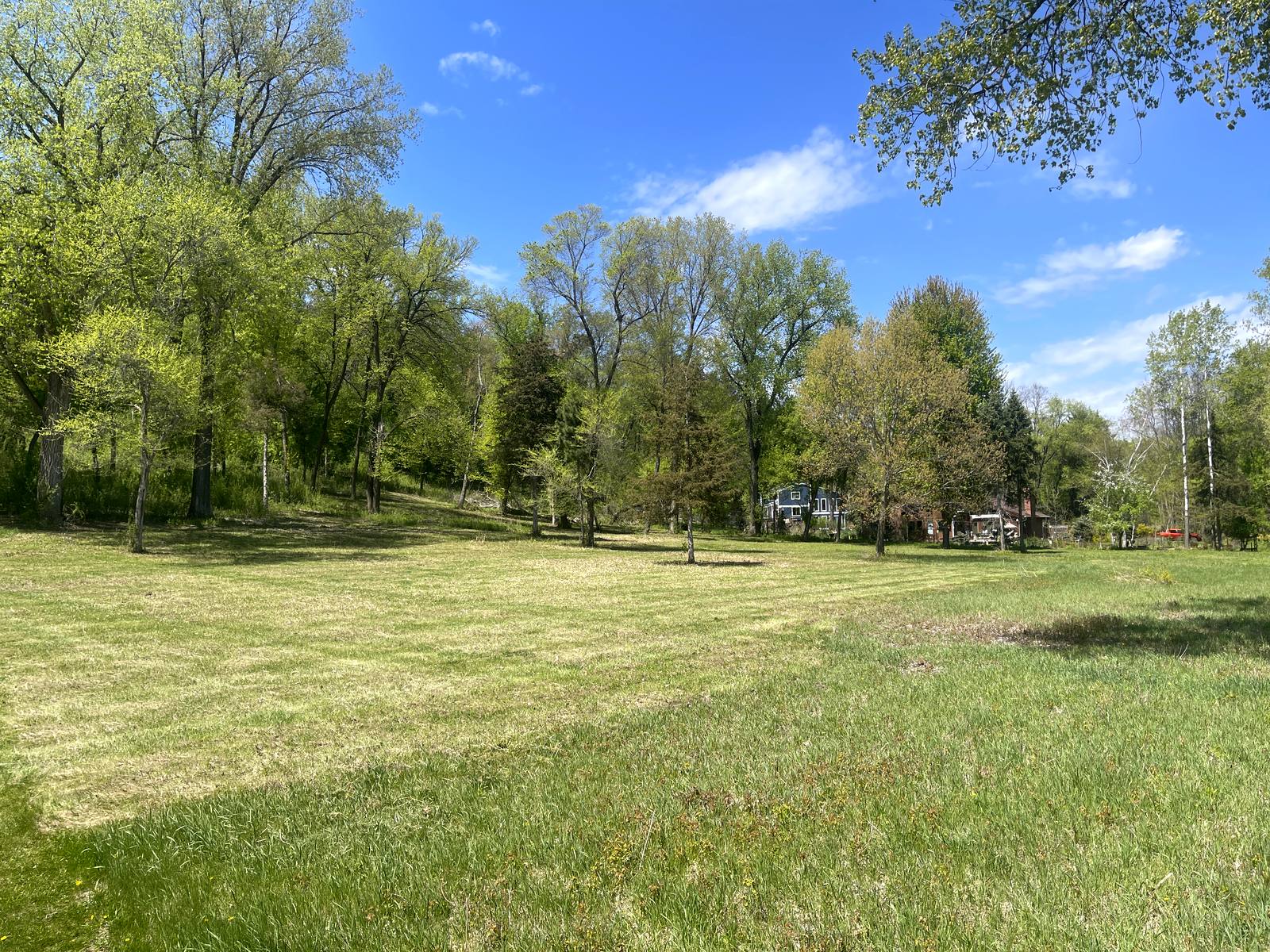 Freshly mowed lawn with clean stripes on a sunny day